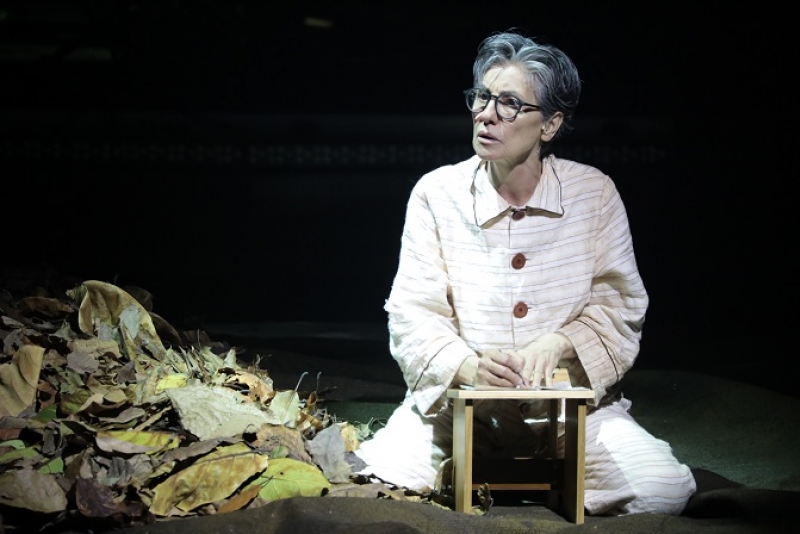 Cássia Kiss apresenta em março na capital a peça 'Meu Quintal é Maior do que o Mundo'