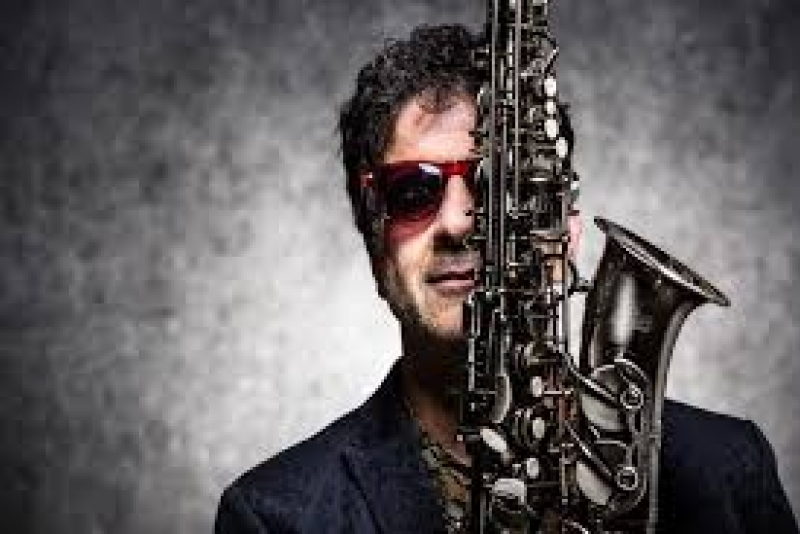 Festival #ZiriguidumEmCasa chega a sua nona edição de 29 a 31 de maio