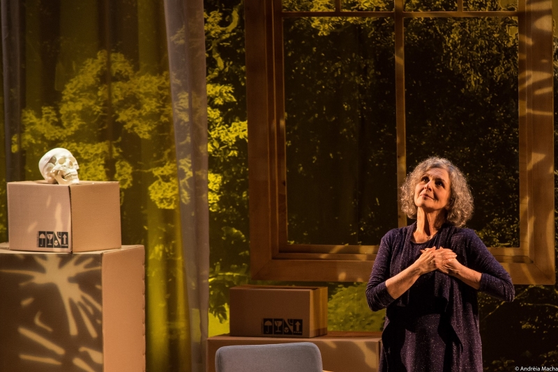 'Alma Despejada' com Irene Ravache tem temporada on-line pelo Teatro WeDo!