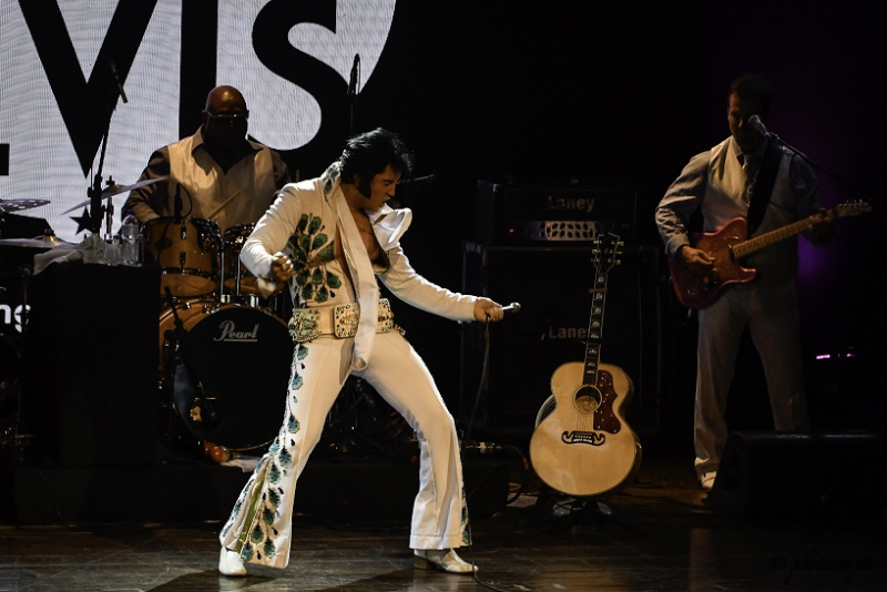 The King Is Back - Tributo a Elvis Presley chega a Porto Alegre neste sábado 