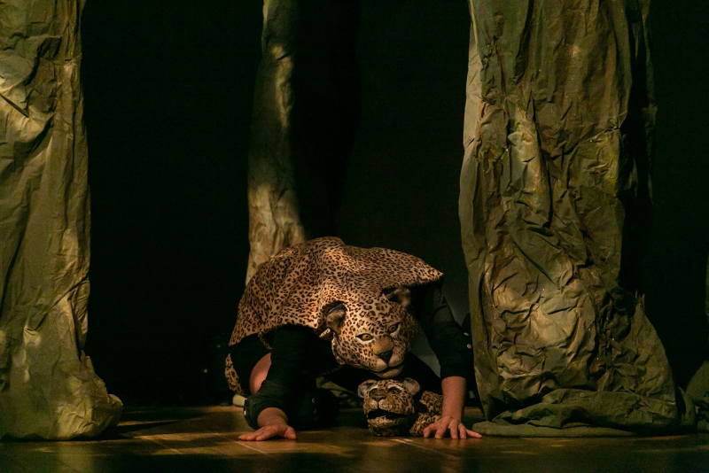 ''Amazônia - um olhar sobre a floresta'' volta a cartaz no Teatro Bruno Kiefer