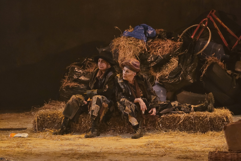 'Esperando Godot' retorna ao Theatro São Pedro para última temporada em 2023