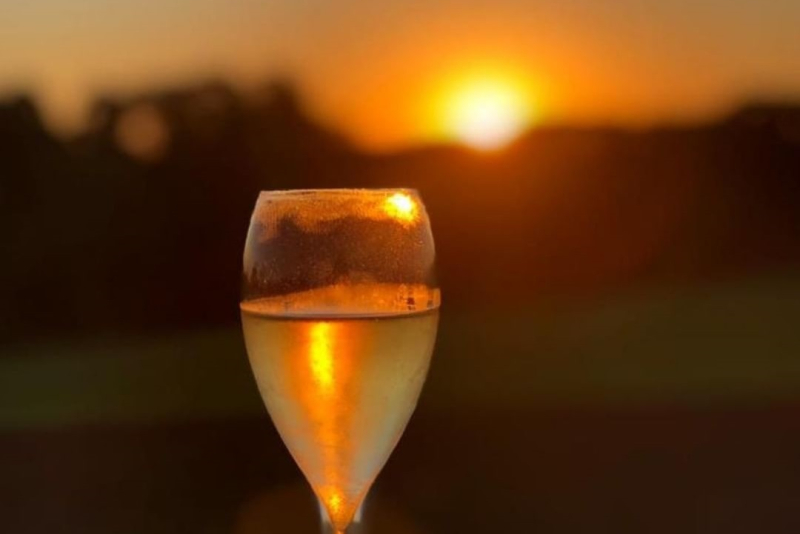 Vinícola Don Giovanni e Nature realizam a primeira edição da Festa das Safras 2024