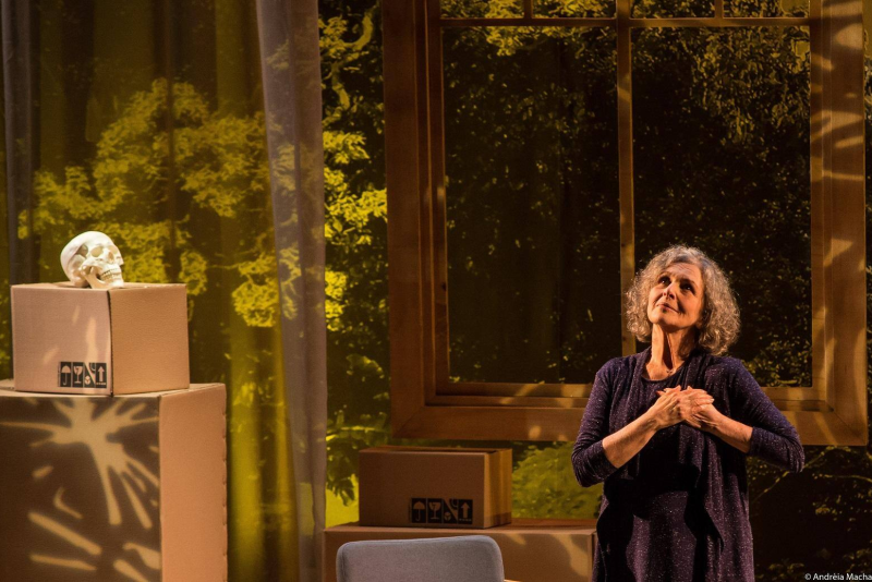 Irene Ravache entra em cartaz no Theatro São Pedro com espetáculo 'Alma Despejada'