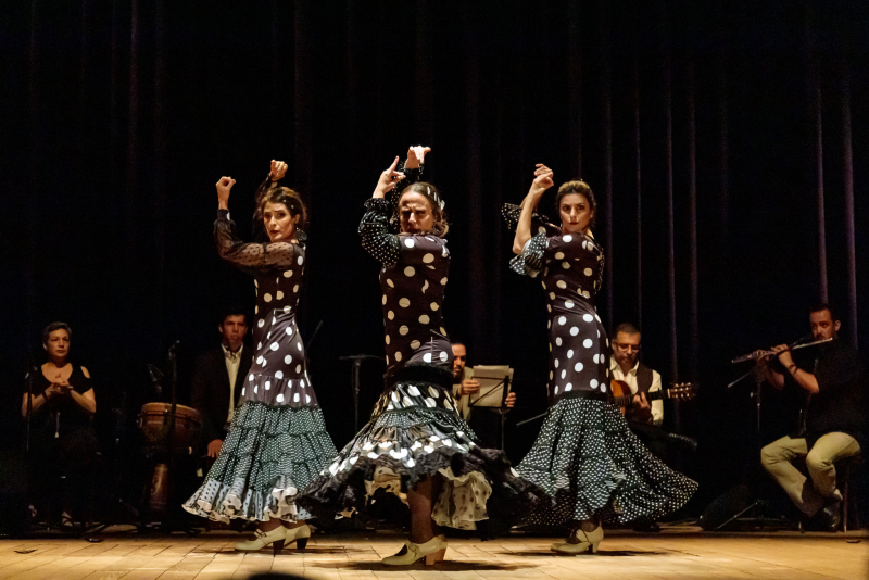Show de Flamenco Inaugura as Celebrações dos 25 Anos da Del Puerto em 2024