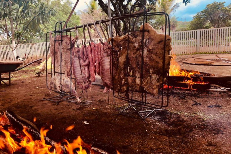 Festival Destemperados 2025 em Porto Alegre: A Ferro e Fogo no Parque Harmonia com Open Food, Música e Cultura