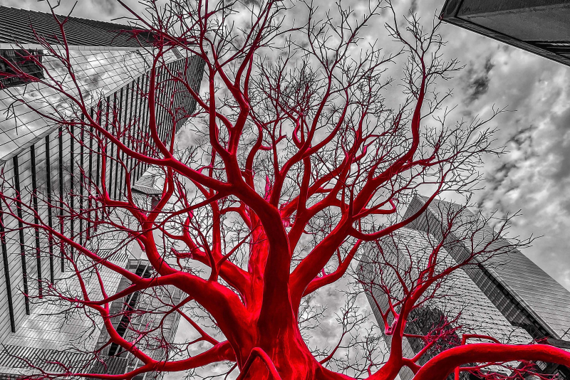 Revista Onne & Only comemora 11 anos com lançamento da 22ª edição em Porto Alegre