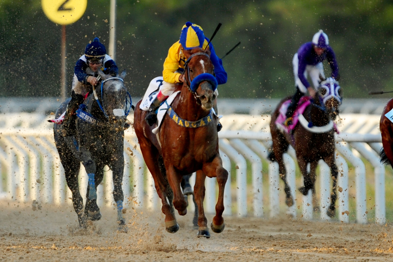 Grande Prêmio Bento Gonçalves movimenta o Jockey Club do RS com turfe, música e gastronomia em Porto Alegre