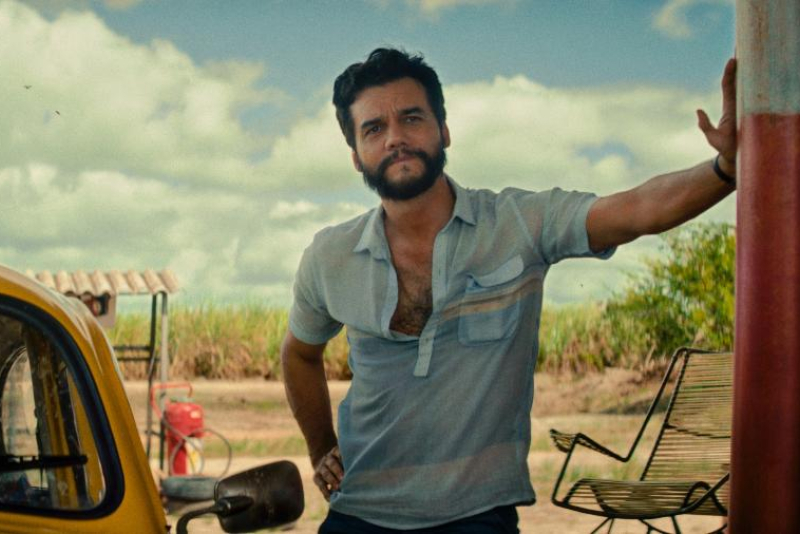 Lista completa dos indicados ao Oscar 2026 é divulgada; Brasil concorre em categorias principais