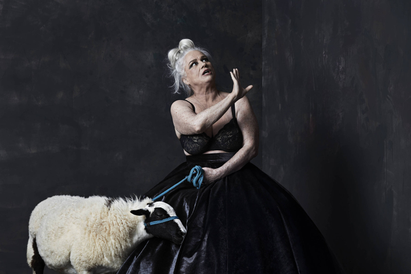 <br />
<b>Notice</b>:  Undefined variable: lnb in <b>/home/u642903088/domains/supertransado.com.br/public_html/site/app/views/artigo.php</b> on line <b>228</b><br />
<br />
<b>Notice</b>:  Trying to get property 'TITULO' of non-object in <b>/home/u642903088/domains/supertransado.com.br/public_html/site/app/views/artigo.php</b> on line <b>228</b><br />
