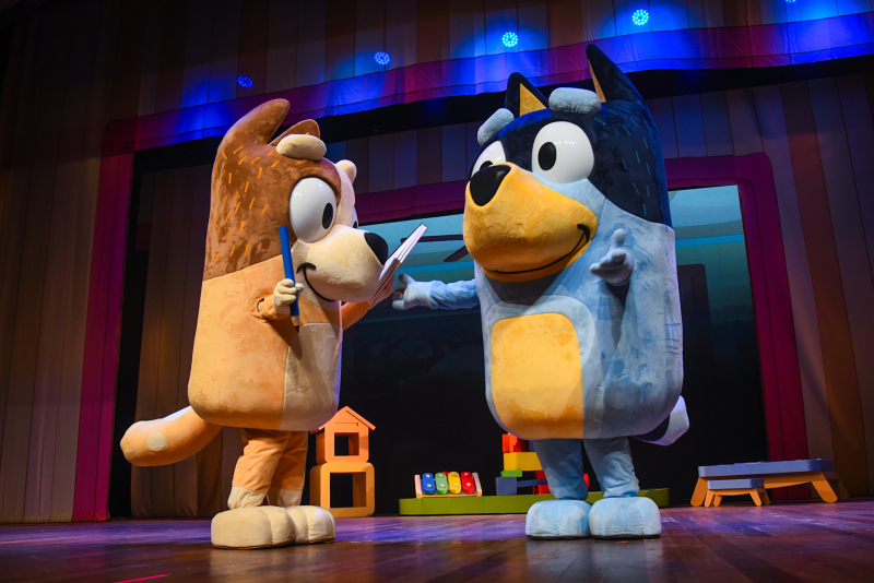 Fenêmeno infantil, espetáculo 'Bluey Ao Vivo' chega a Porto Alegre com show inédito para toda a família no Teatro do Bourbon Country