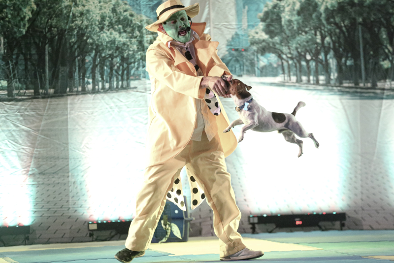 Espetáculo 'Meu Melhor Amigo' chega a Canoas em março com sessão gratuita no Teatro do Sesc