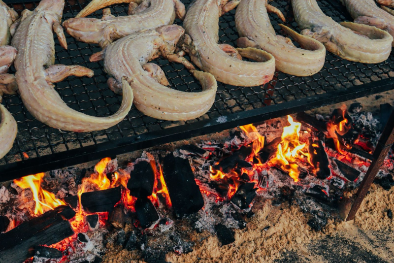 Maior festival internacional de churrasco do Brasil, Expochurrasco 2026 acontece em abril com chefs, carnes raras e experiências de fogo